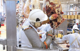 Beef Processing 3 1440x880
